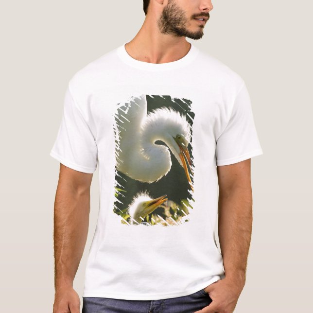 USA, Florida, St. Augustine, Alligator farm T-Shirt (Front)