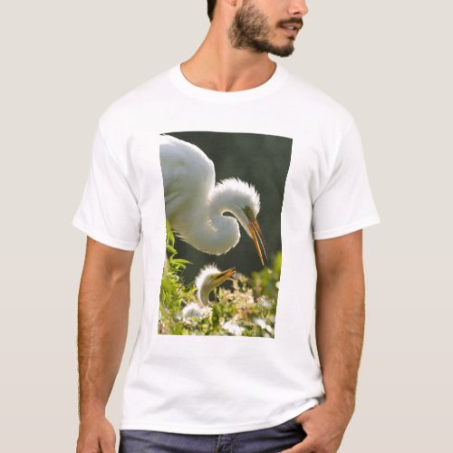 USA Florida St Augustine Alligator farm T_Shirt