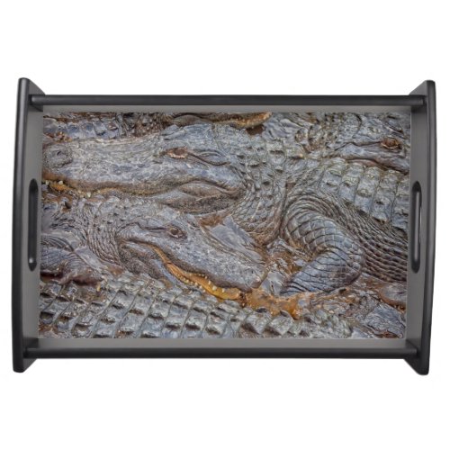 USA Florida St Augustine Alligators 2 Serving Tray