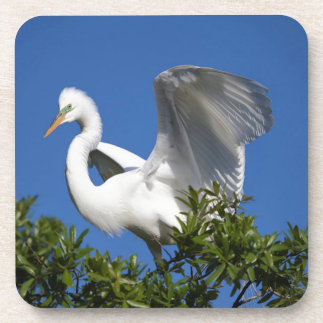 USA, Florida, St. Augustine, Egret Drink Coaster (Front)