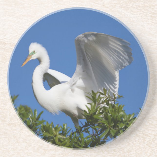 USA, Florida, St. Augustine, Egret Drink Coaster (Front)