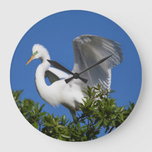USA, Florida, St. Augustine, Egret Large Clock