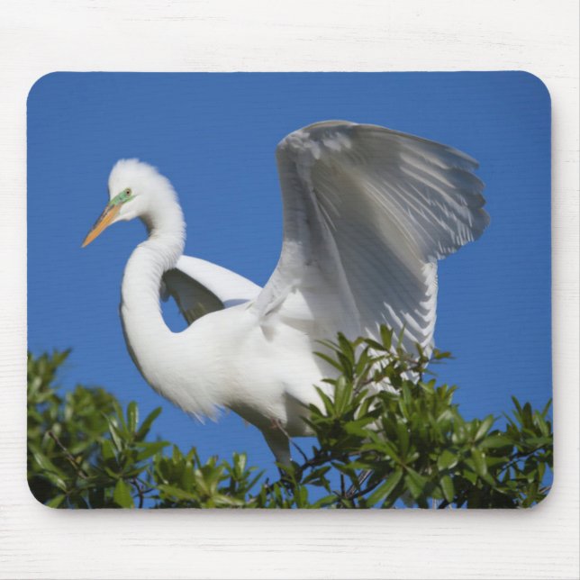 USA, Florida, St. Augustine, Egret Mouse Pad (Front)