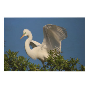 USA, Florida, St. Augustine, Egret Wood Wall Decor