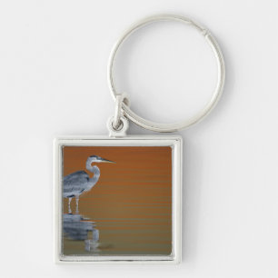 USA, Florida, St. Petersburg, Fort De Soto 2 Keychain