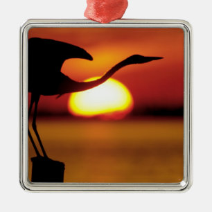 USA, Florida, St. Petersburg, Fort De Soto Metal Ornament