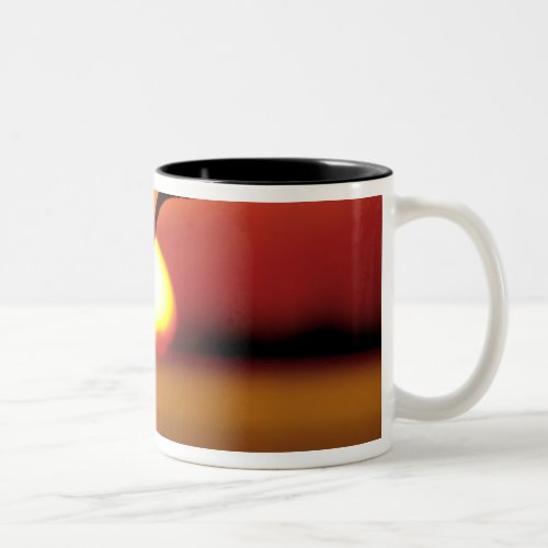 USA Florida St Petersburg Fort De Soto Two_Tone Coffee Mug