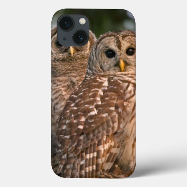 USA, Florida, Viera Wetlands. Three barred Case-Mate iPhone Case (Back)