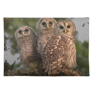 USA, Florida, Viera Wetlands. Three barred Cloth Placemat