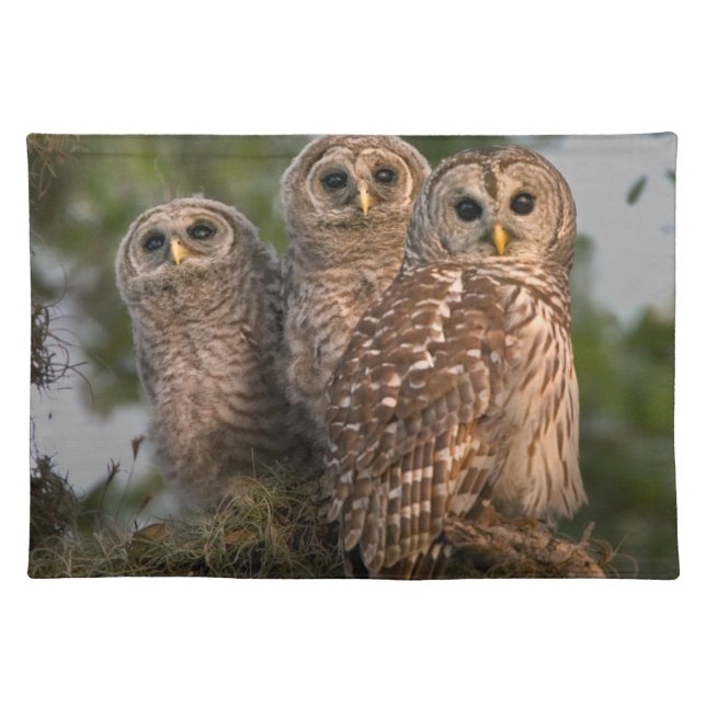 USA, Florida, Viera Wetlands. Three barred Cloth Placemat (Front)