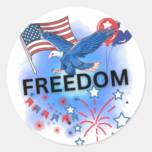 USA Freedom Classic Round Sticker