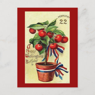 USA Geo Washingtons Birthday Postcard