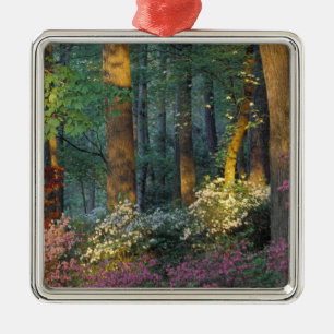 USA, Georgia, Callaway Gardens, Azalea forest. Metal Ornament