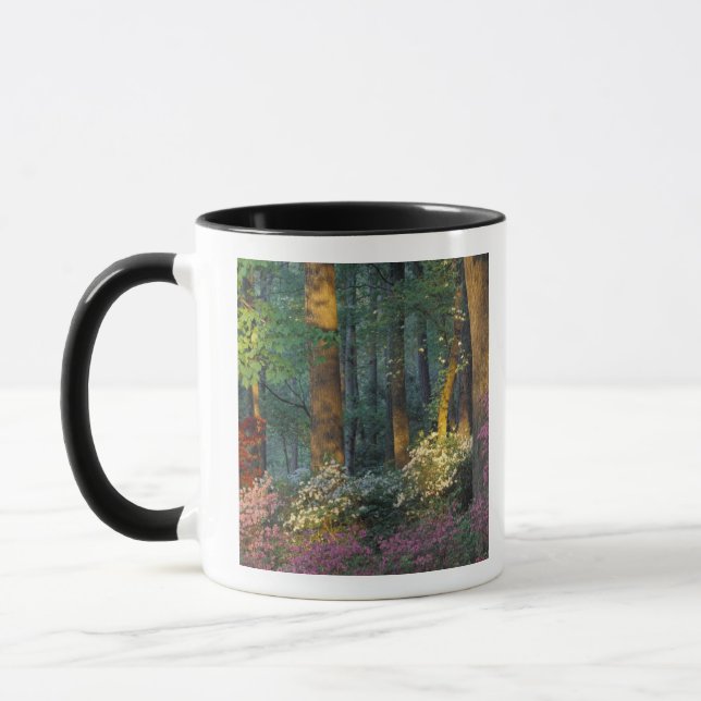 USA, Georgia, Callaway Gardens, Azalea forest. Mug (Left)