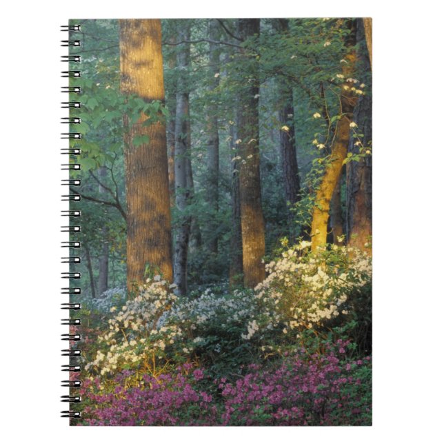 USA, Georgia, Callaway Gardens, Azalea forest. Notebook (Front)