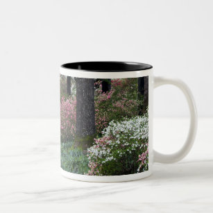 USA, Georgia, Callaway Gardens. Pathway Two-Tone Coffee Mug