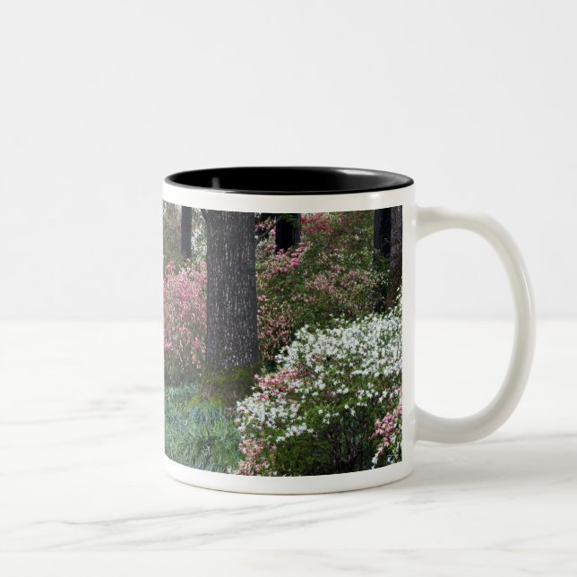 USA, Georgia, Callaway Gardens. Pathway Two-Tone Coffee Mug (Right)