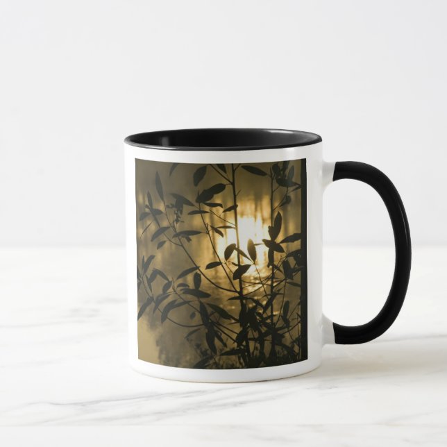 USA, Georgia, Callaway Gardens, Sunrise Mug (Right)