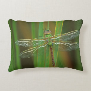 USA, Georgia. Green darner dragonfly on reeds Accent Pillow