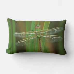 USA, Georgia. Green darner dragonfly on reeds Lumbar Pillow