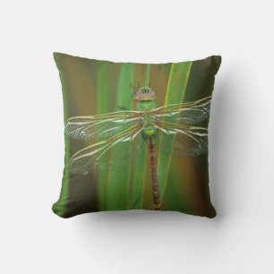 USA, Georgia. Green darner dragonfly on reeds Throw Pillow