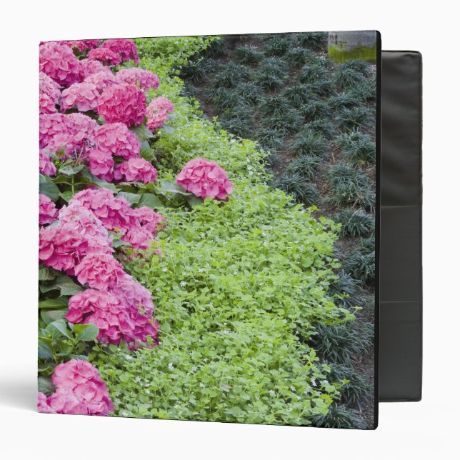 USA, Georgia, Pine Mountain. A boder of spring 3 Ring Binder (Front/Inside)