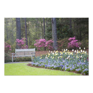 USA, Georgia, Pine Mountain. A border of Photo Print