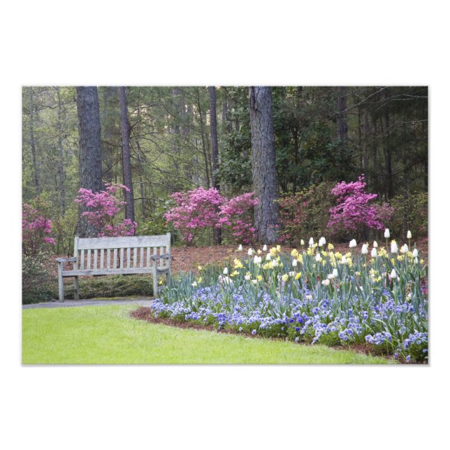 USA, Georgia, Pine Mountain. A border of Photo Print (Front)