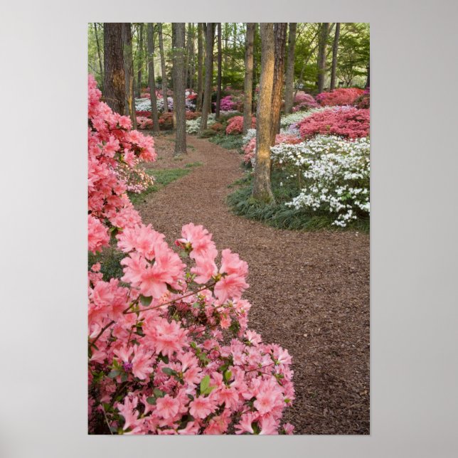 USA, Georgia, Pine Mountain. A pathway through Poster (Front)
