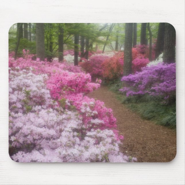 USA; Georgia; Pine Mountain. Azaleas at 2 Mouse Pad (Front)