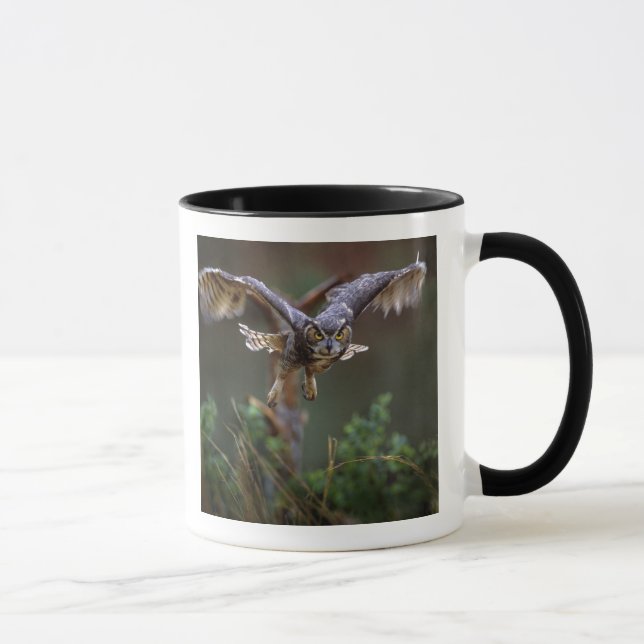 USA, Georgia, Pine Mountain, Callaway Gardens. Mug (Right)