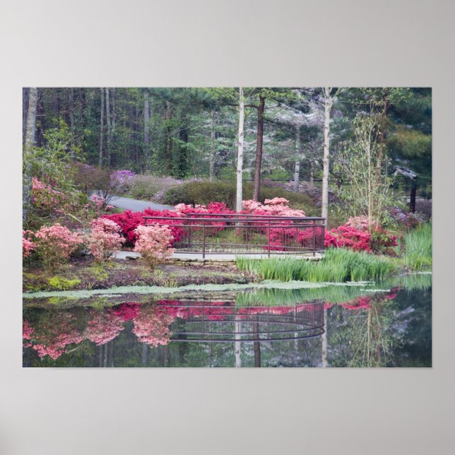 USA, Georgia, Pine Mountain. Viewing area by Poster (Front)