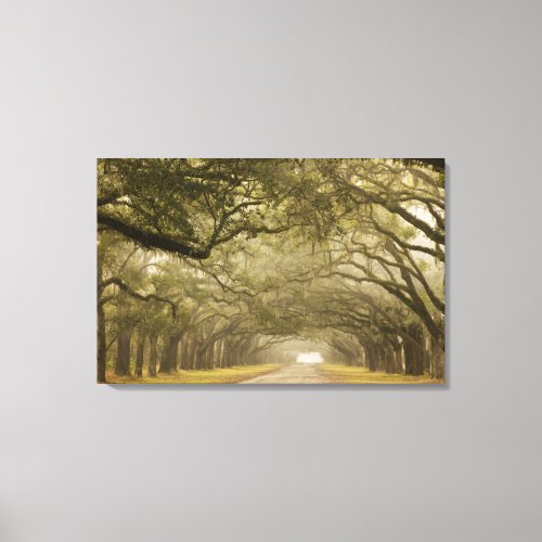 USA Georgia Savannah An oak lined drive in Canvas Print