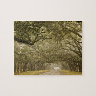 USA, Georgia, Savannah, An oak lined drive in Jigsaw Puzzle