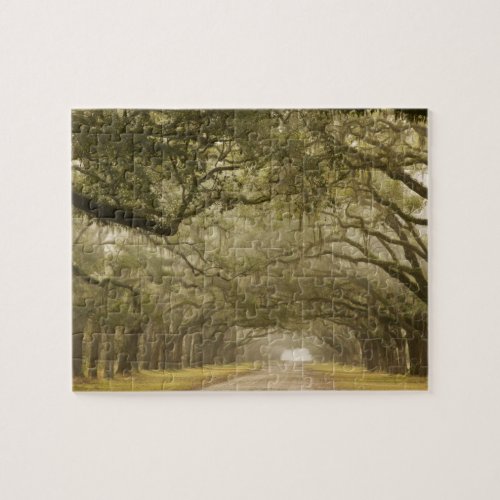 USA Georgia Savannah An oak lined drive in Jigsaw Puzzle