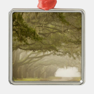USA, Georgia, Savannah, An oak lined drive in Metal Ornament