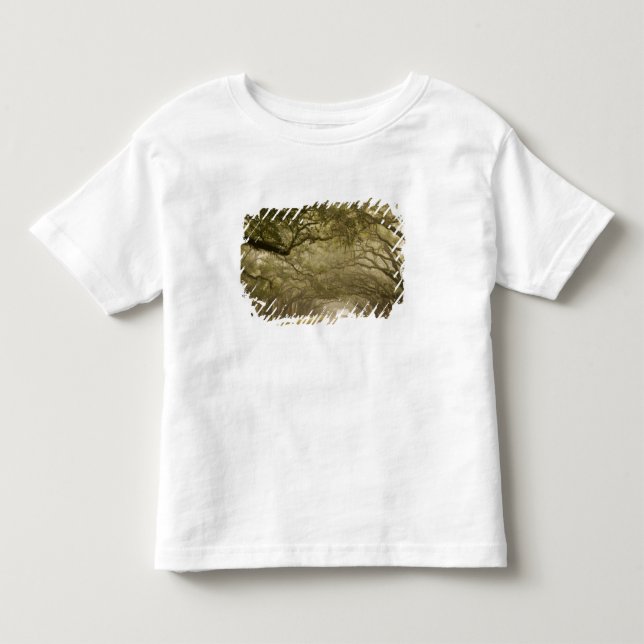 USA, Georgia, Savannah, An oak lined drive in Toddler T-shirt (Front)