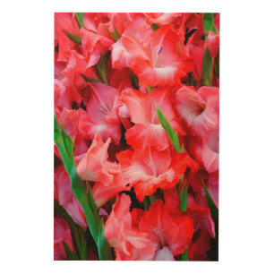 USA, Georgia, Savannah, Bouquet Of Gladiolus Wood Wall Art