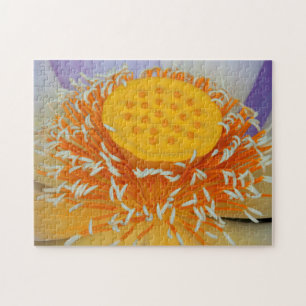 USA, Georgia, Savannah, Close-Up Of A Lotus Jigsaw Puzzle