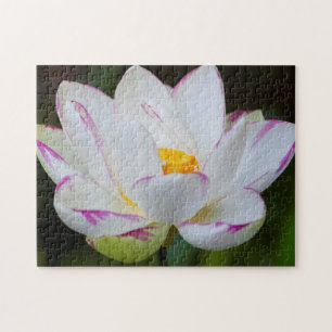 USA, Georgia, Savannah, Lootus Flower Blooming Jigsaw Puzzle