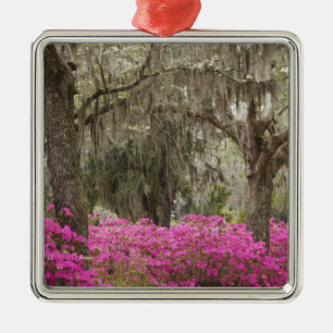 USA, Georgia, Savannah, Spring at Historic Metal Ornament