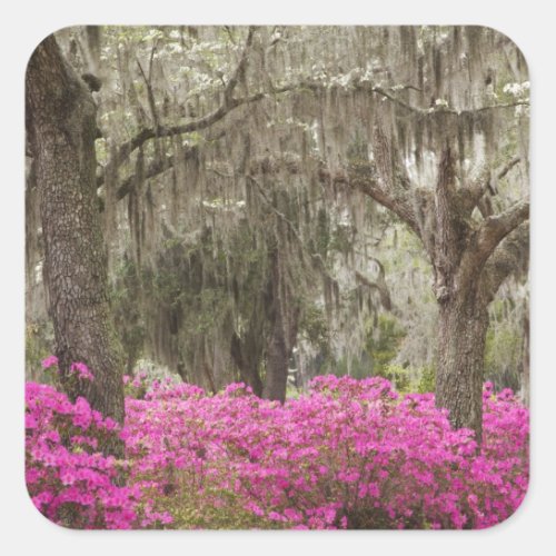 USA Georgia Savannah Spring at Historic Square Sticker