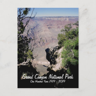 USA, Grand Canyon National Park - 100 Years Postcard