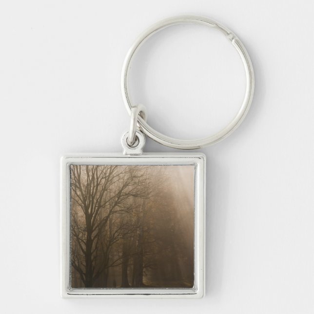 USA Great Smoky Mountain NP Tennessee trees in Keychain (Front)