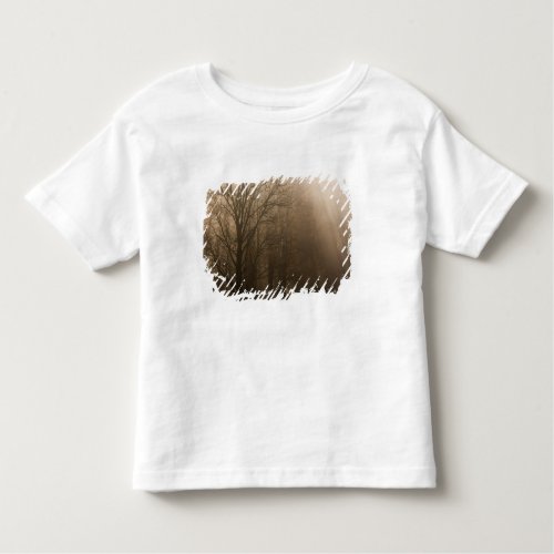 USA Great Smoky Mountain NP Tennessee trees in Toddler T_shirt