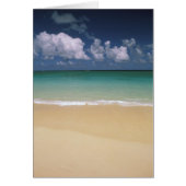 USA, Hawaii. Beach scene (Front)