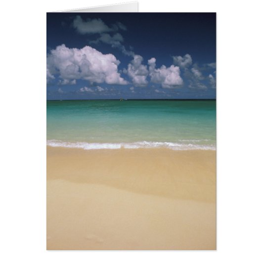 USA, Hawaii. Beach scene Cards (Front)
