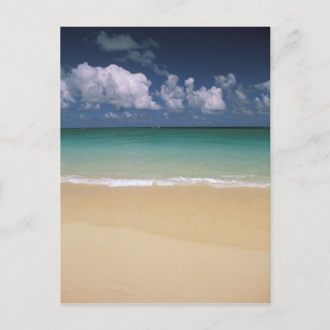 USA, Hawaii. Beach scene Postcard (Front)