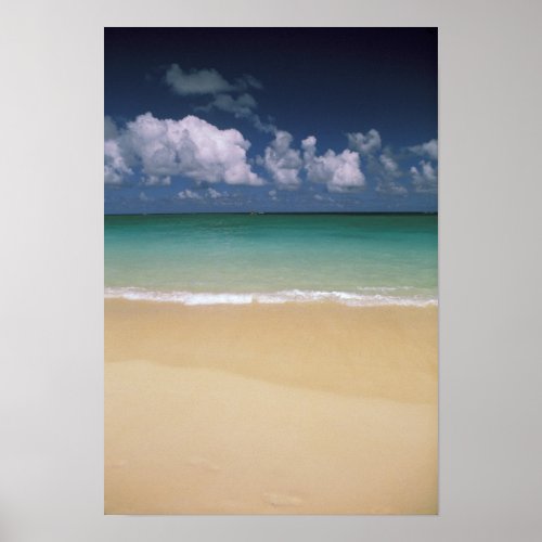 USA Hawaii Beach scene Poster