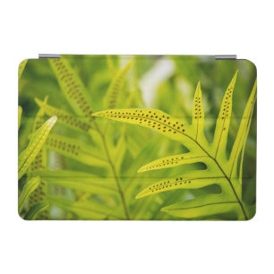 USA, Hawaii, Big Island. Tropical Green Fern iPad Mini Cover